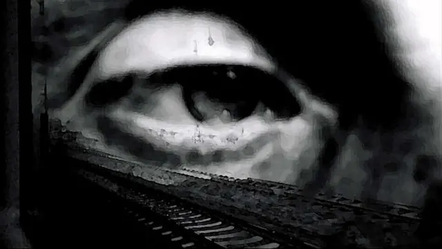 Hurt - Nine Inch Nails - Pellerhead Cover