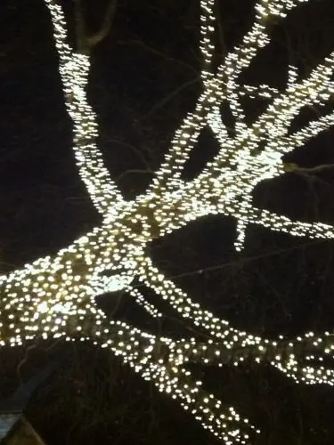 Let him go and go to God - Alfabeth