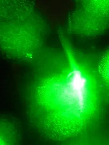 Party - J San feat. Rappel