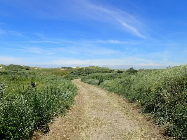 A dune path in Egmond an Zee